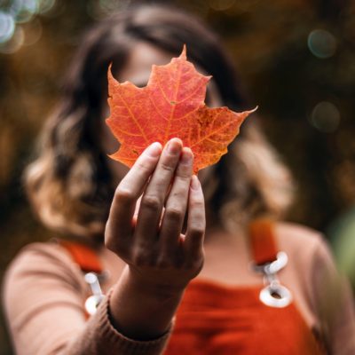 5 dolog, amit próbálj ki novemberben